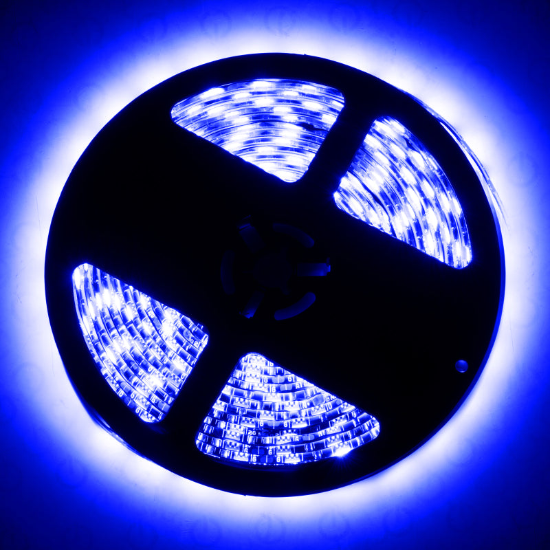 Oracle Interior Flex LED 12in Strip - UV/Purple