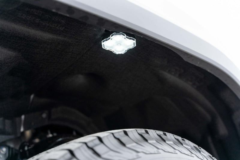 Diode Dynamics Single-Color Rock Light Installer Magnet Mount Kit (4-pack)