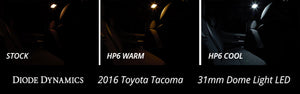 Diode Dynamics 31mm HP6 LED Bulb LED Warm - White (Single)