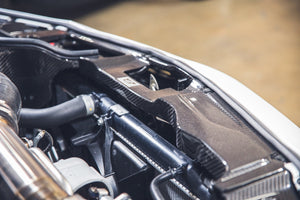 Acura Integra Type S/A Spec DE5 Carbon Fiber Radiator Cooling Plates 2023+