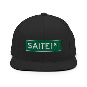 SIGNAGE EMBROIDERED SNAPBACK - BLK/GRN/WHT